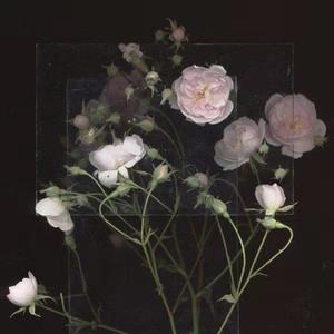 台湾男同志按摩KTV
